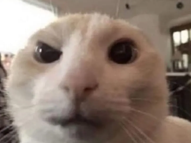 1750327284415