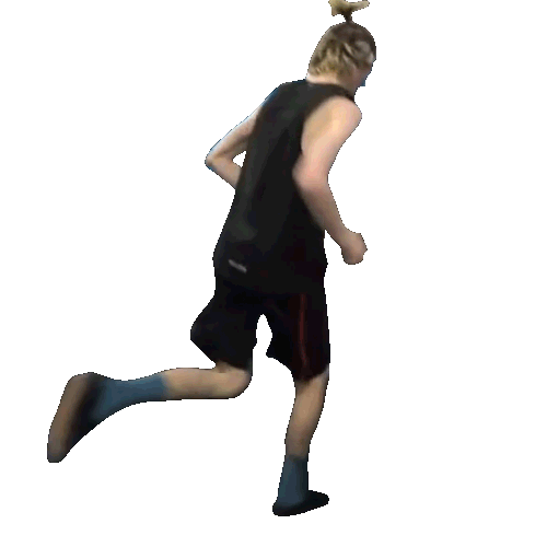 Xqc run