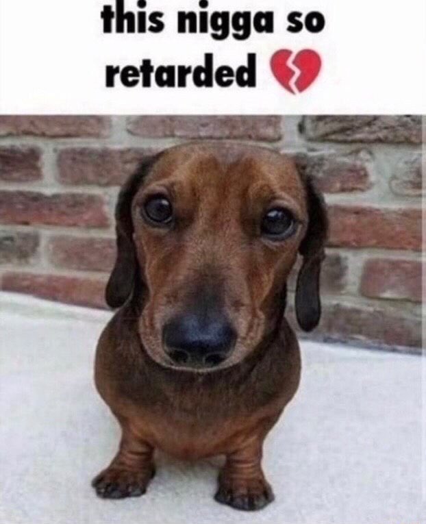 F09Aj RXwAE3H e