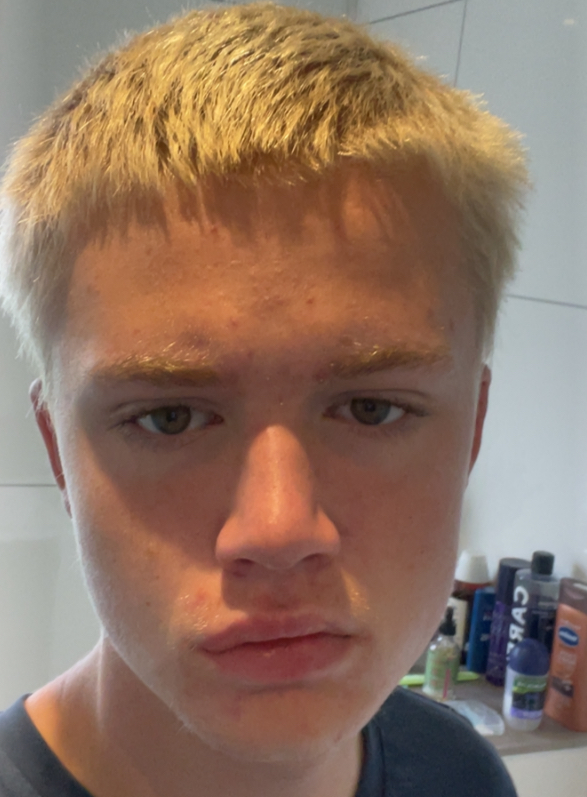 IMG 1308