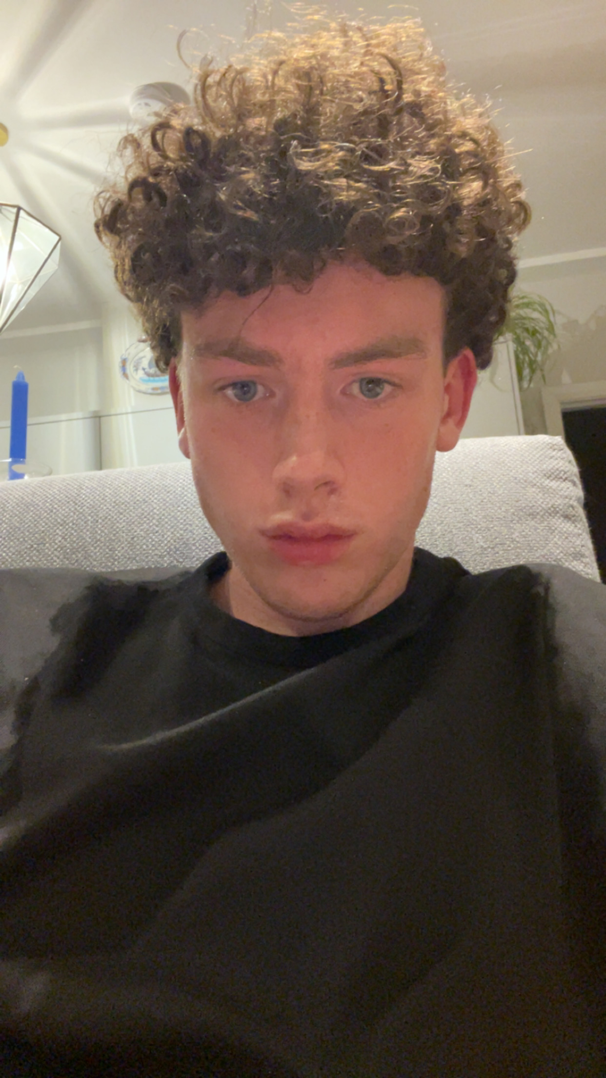 IMG 3731