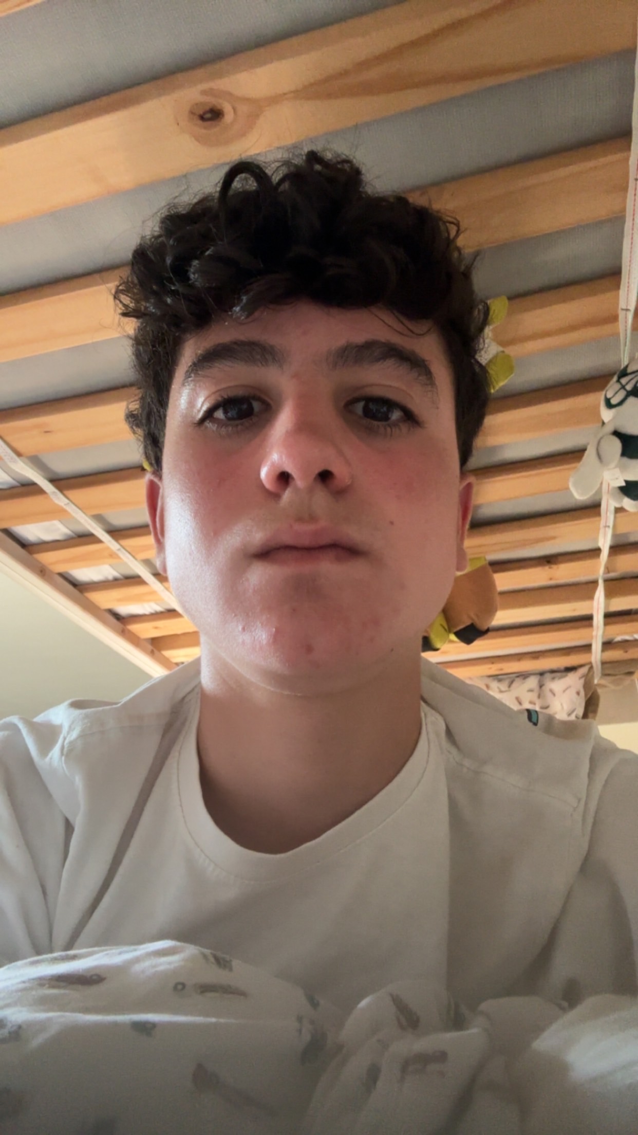 IMG 1681