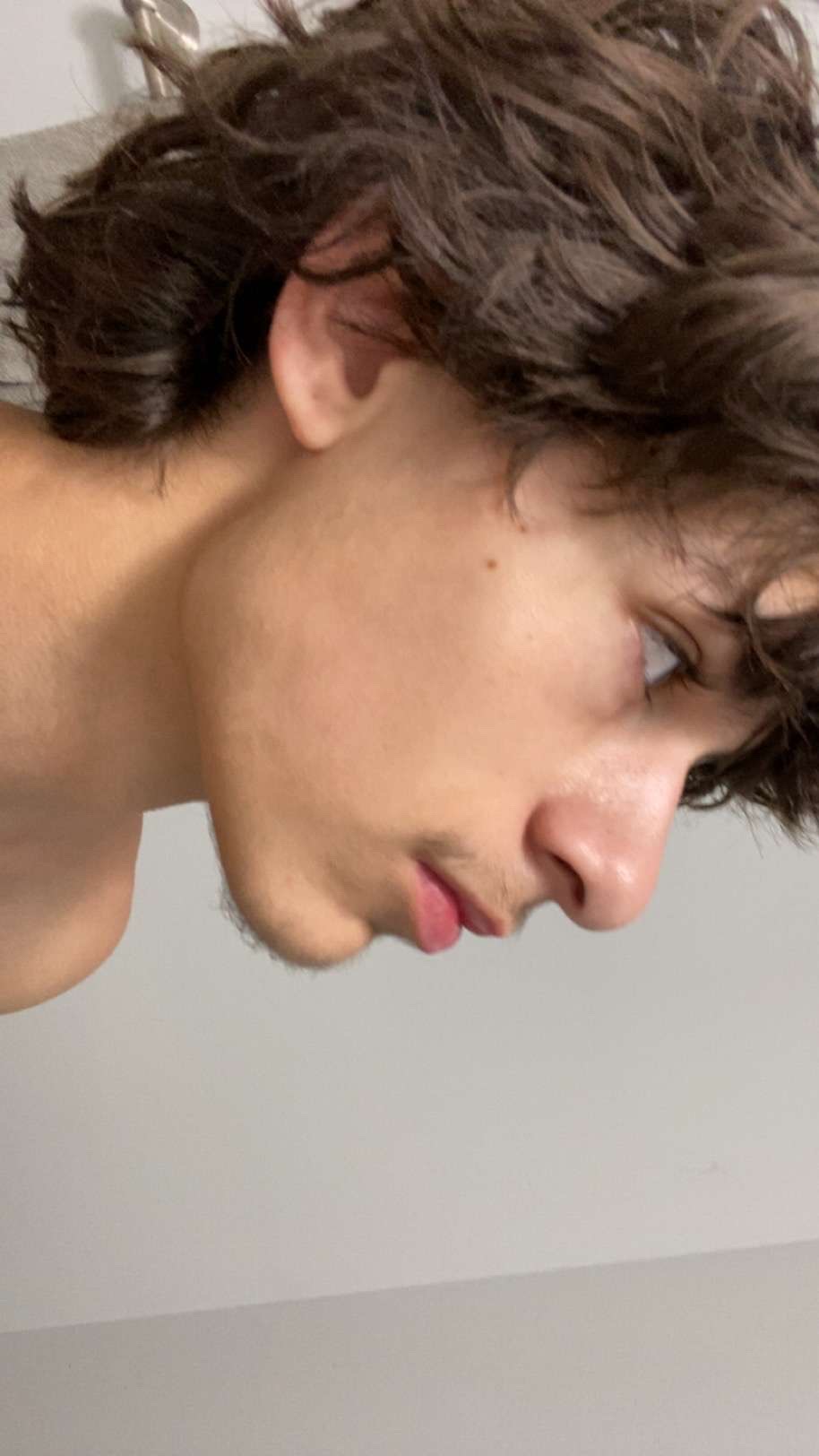 IMG 0208