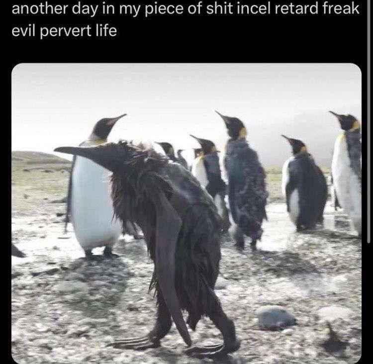 20250123 060226 1