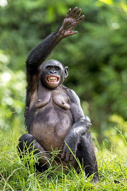 Istockphoto 532263034 612x612
