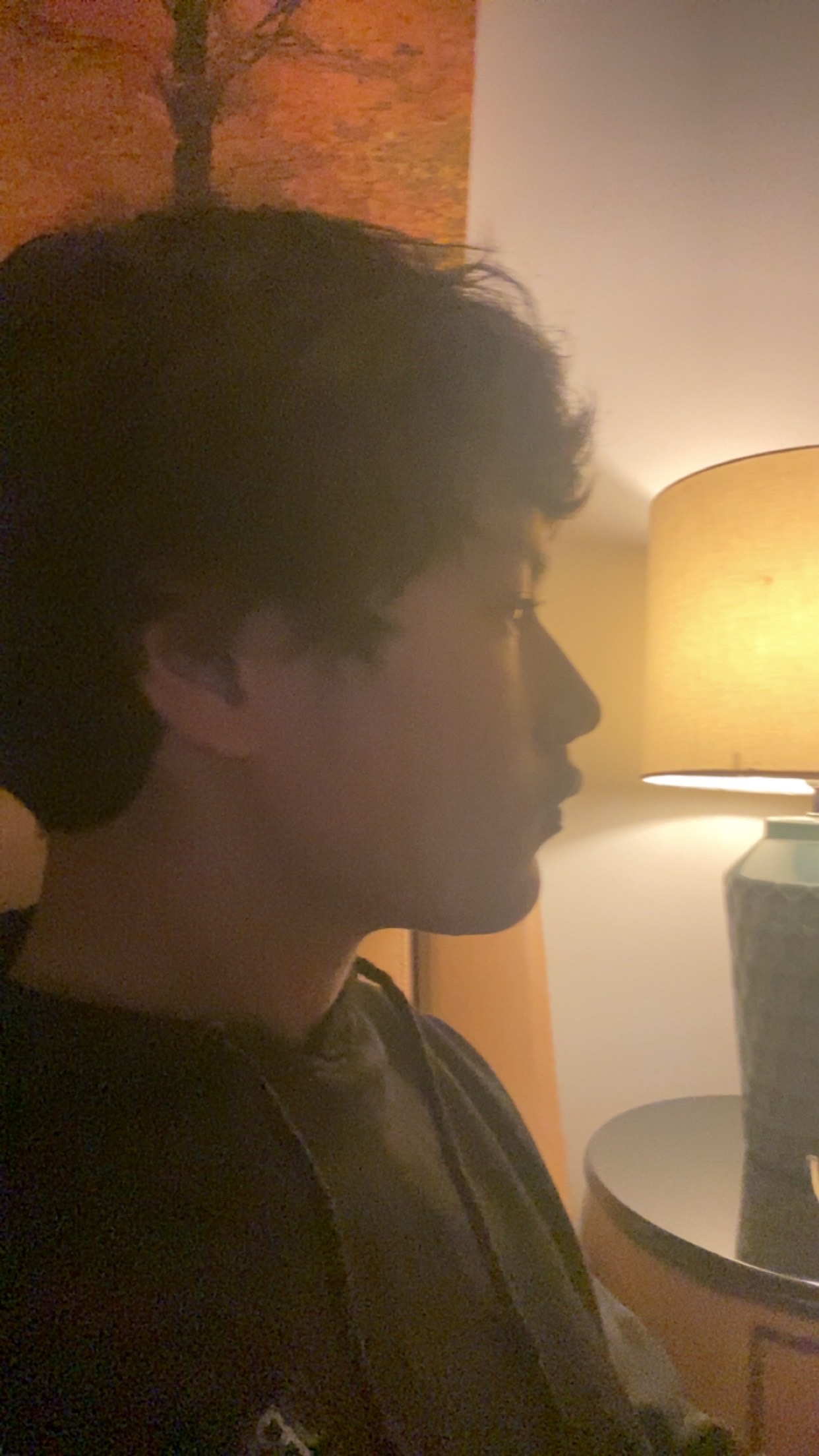 IMG 3786