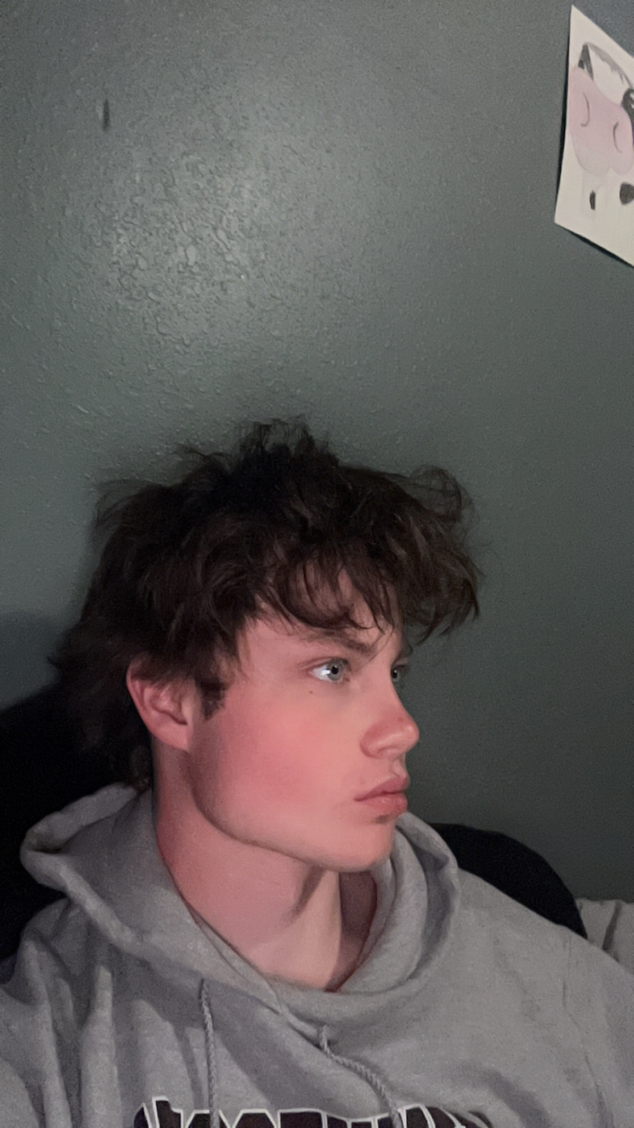 IMG 1960