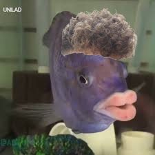 Ltn