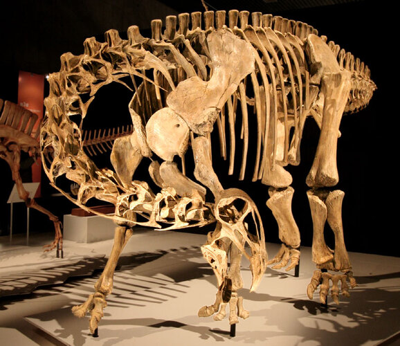 Nigersaurus mount