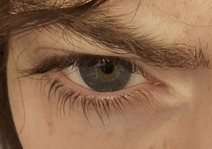20250613_110921.jpg