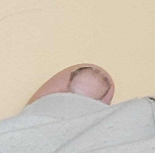 IMG 1315