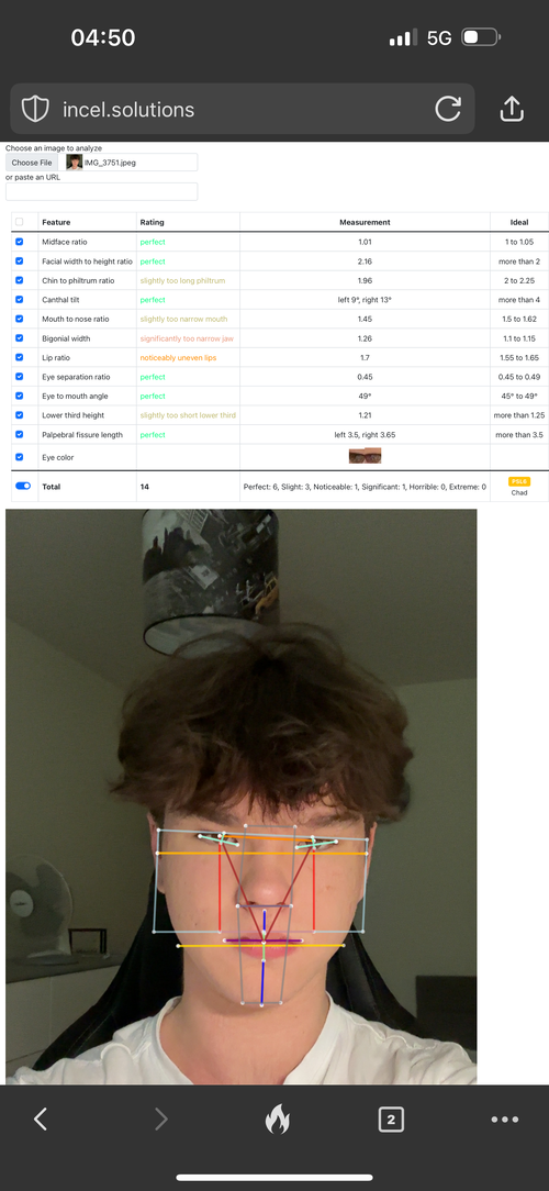 IMG_3752.png