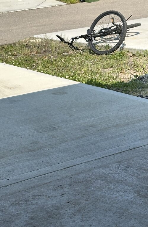 IMG 1309