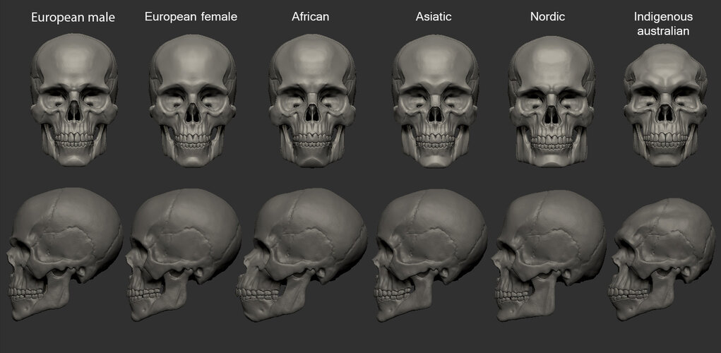 skulls.jpg
