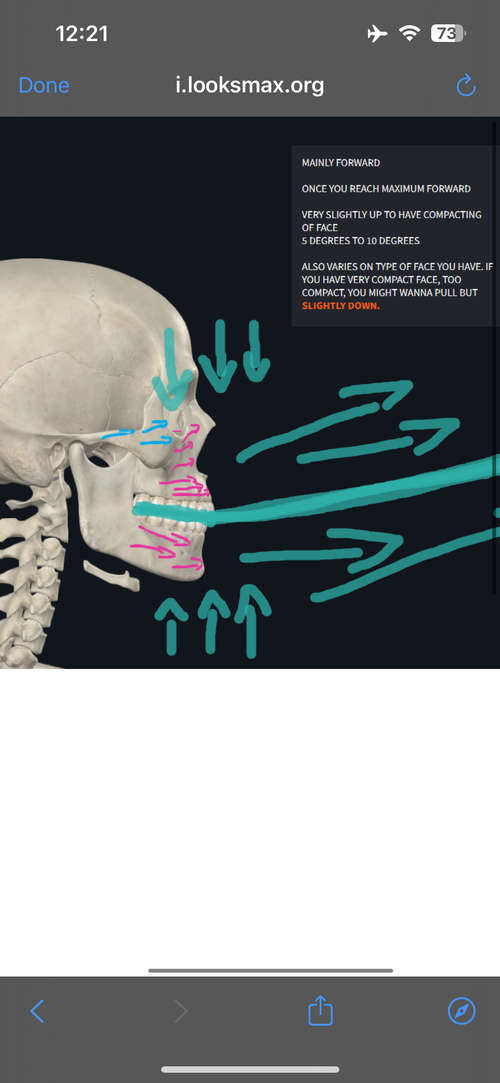 IMG_2271.png