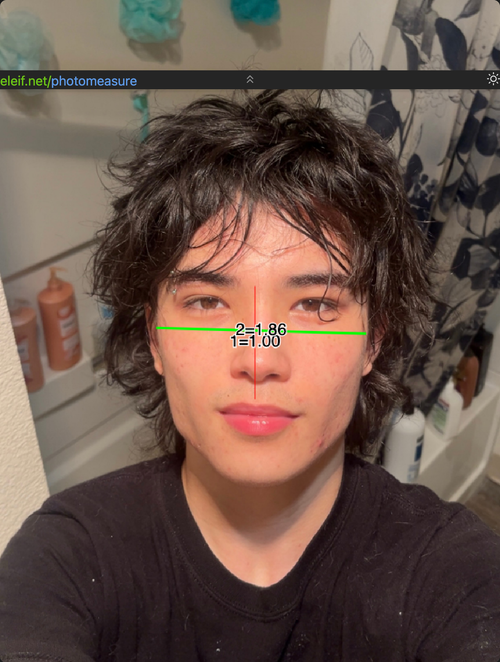 1751181641383.png