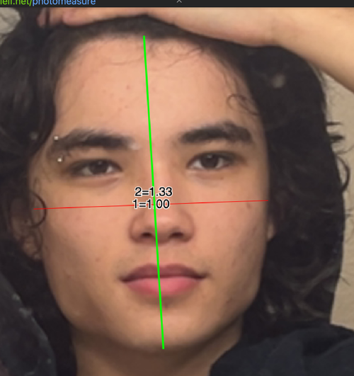 1751221557936.png