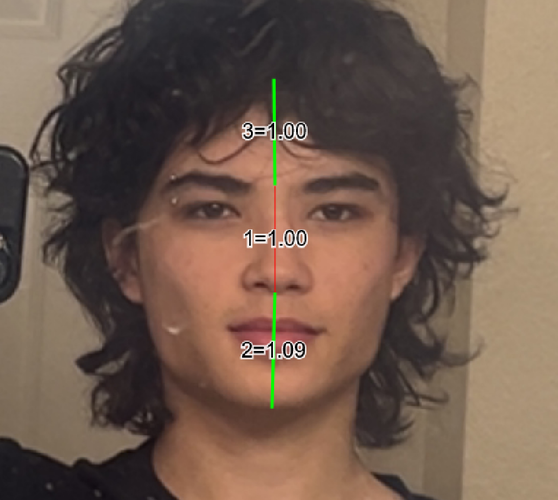 image(11).png