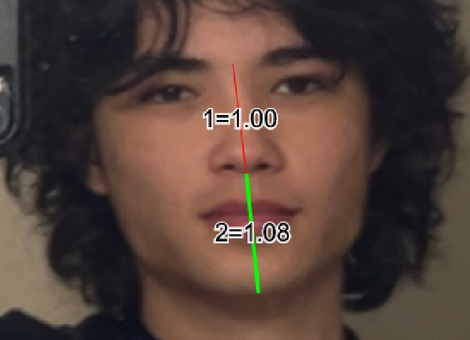 image(12).png