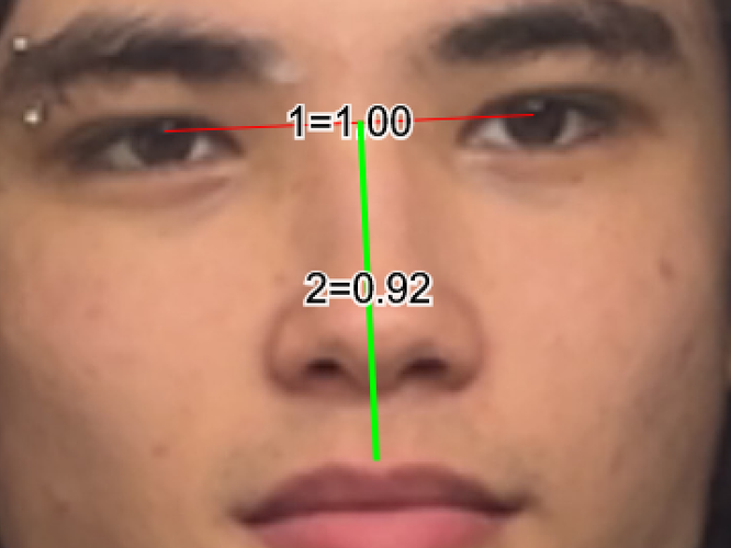 1751261302939.png