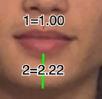 1751281868078.png