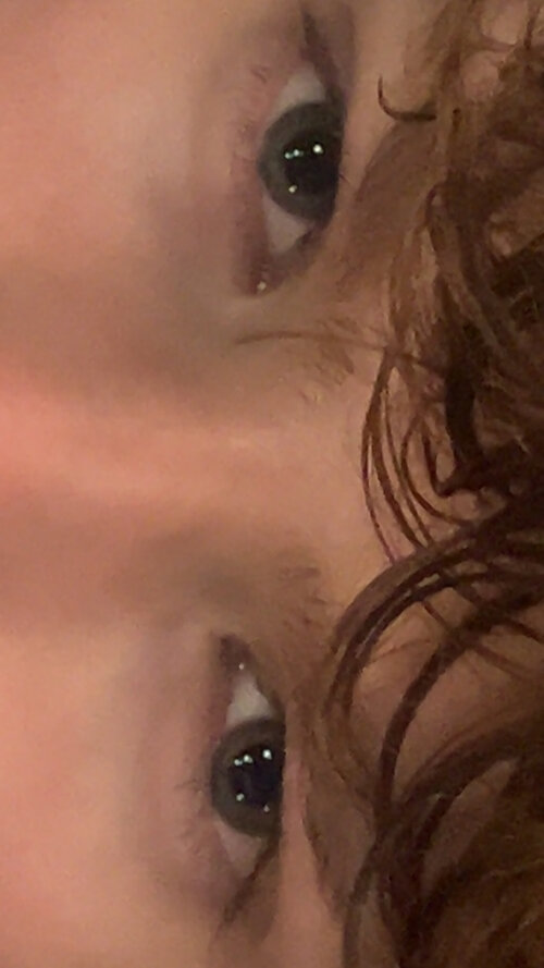 IMG_2956.jpeg