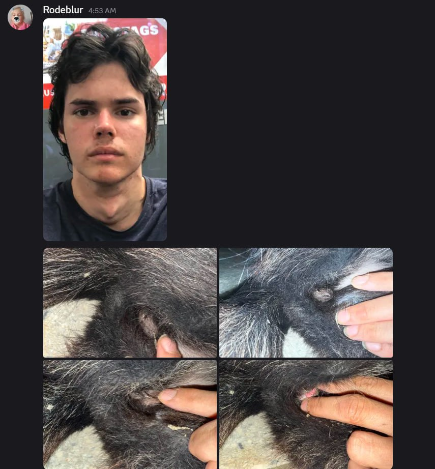 1751347166108