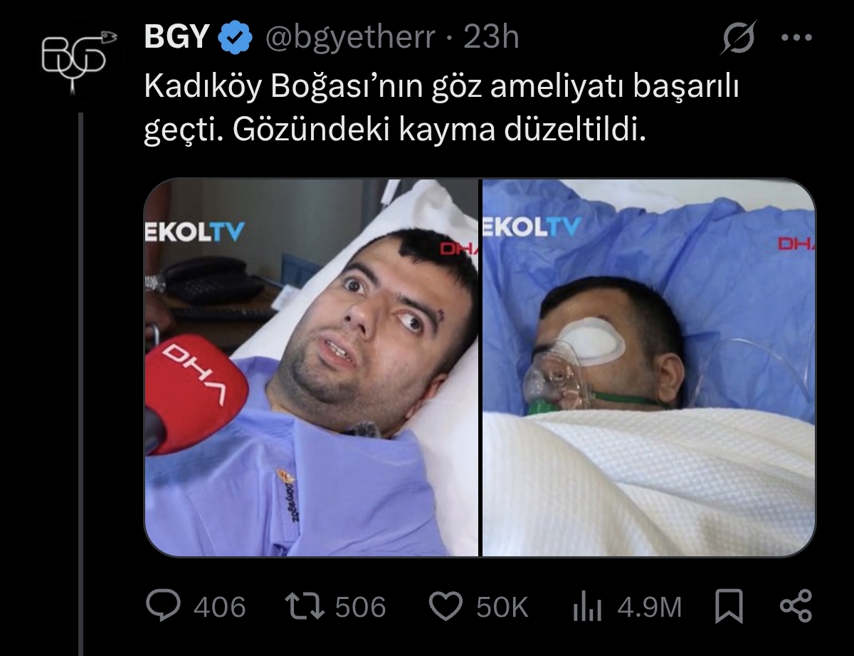 1000019272 1000019272