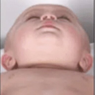 JPEG image