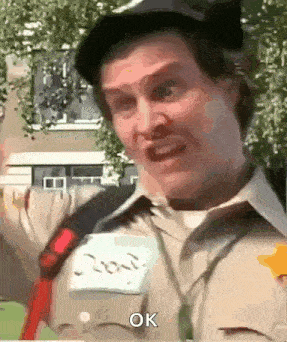 Officer doofy salute Officer doofy salute