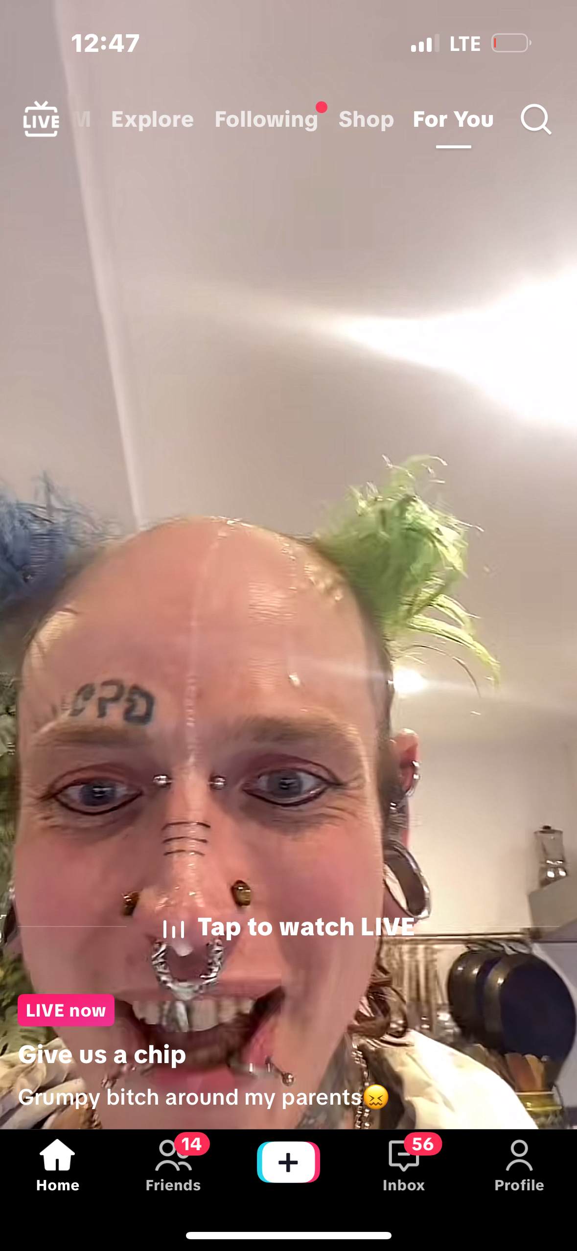 IMG 2575