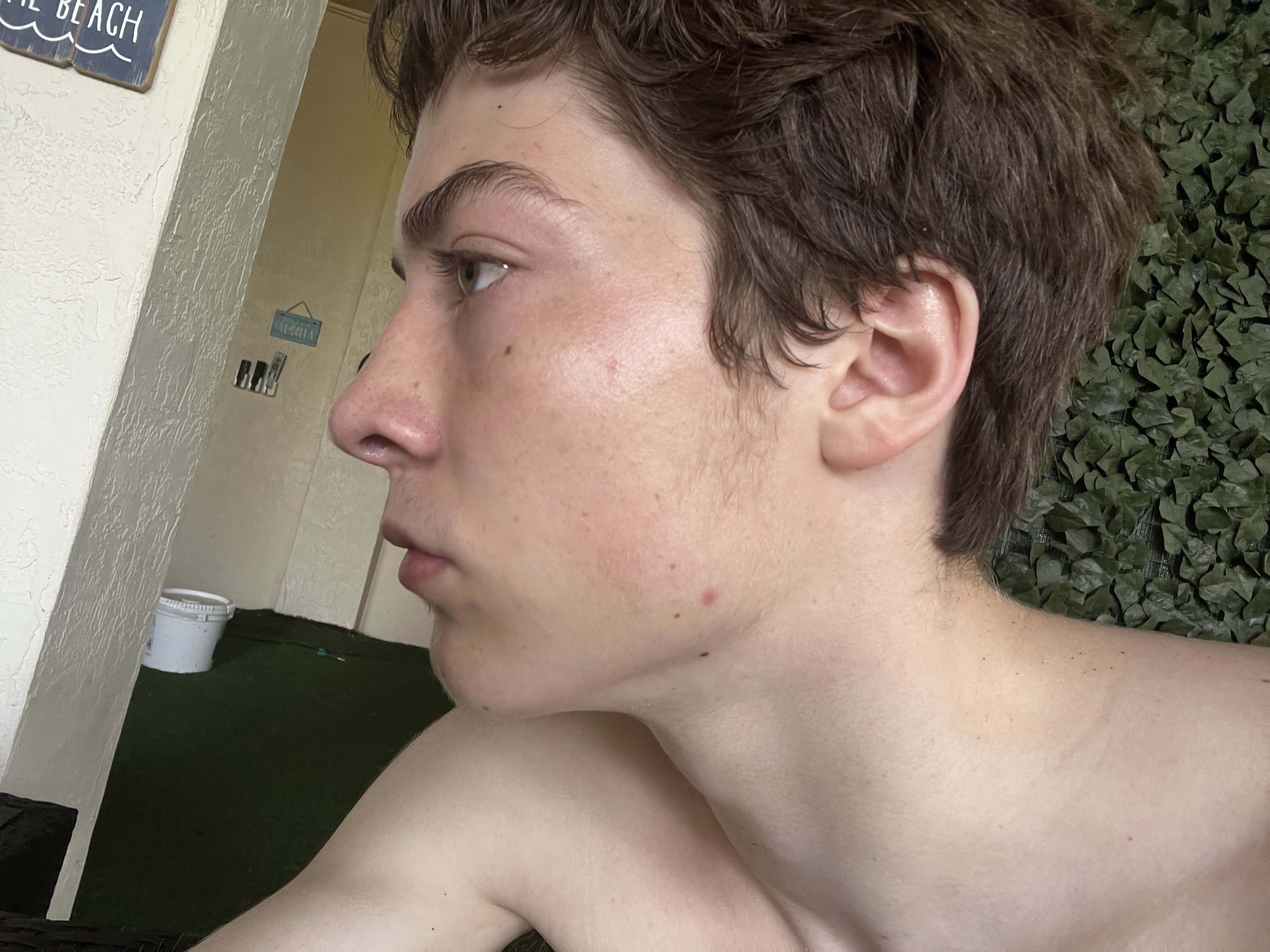 IMG 4346