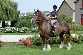 Images 11