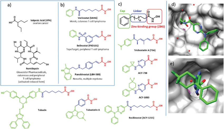 HDAC inhibitors structure and properties a Current FDA approved non hydroxamic acid