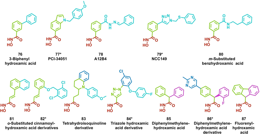 Structures of selective HDAC inhibitors with various SP groups and LP groups colored by