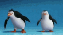 Penguins penguins of madagascar Penguins penguins of madagascar