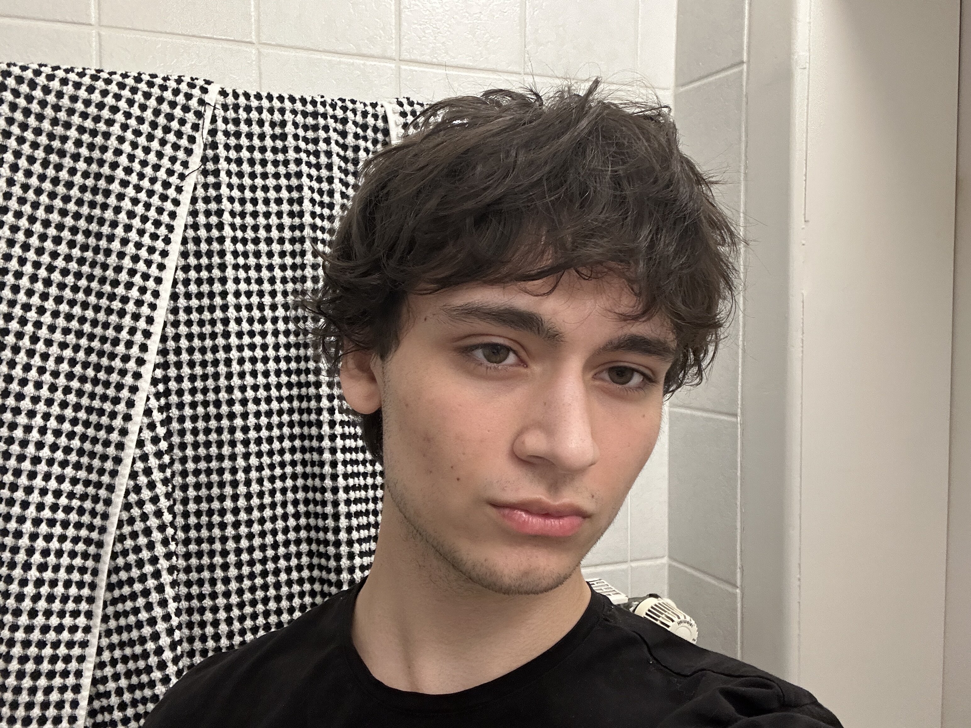 IMG 2703