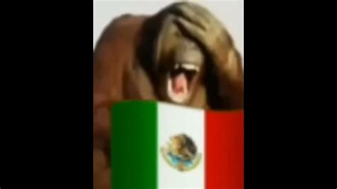 OIP 4052303334IufR27wgKOxqHoF d6QsMgHaEK