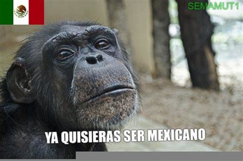 OIP 298924969Go0 74zC1QPl4VO3YmIiNAHaE6