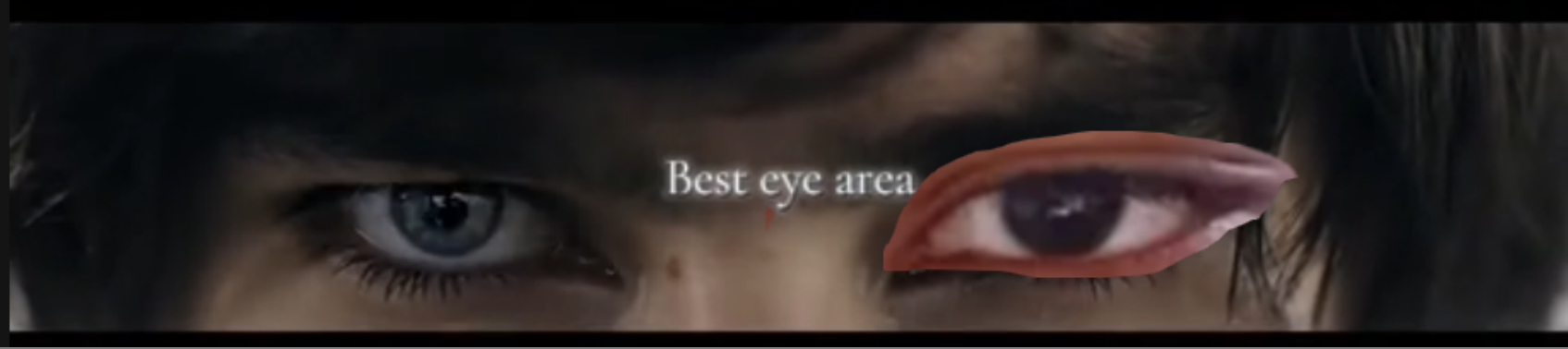 Eye