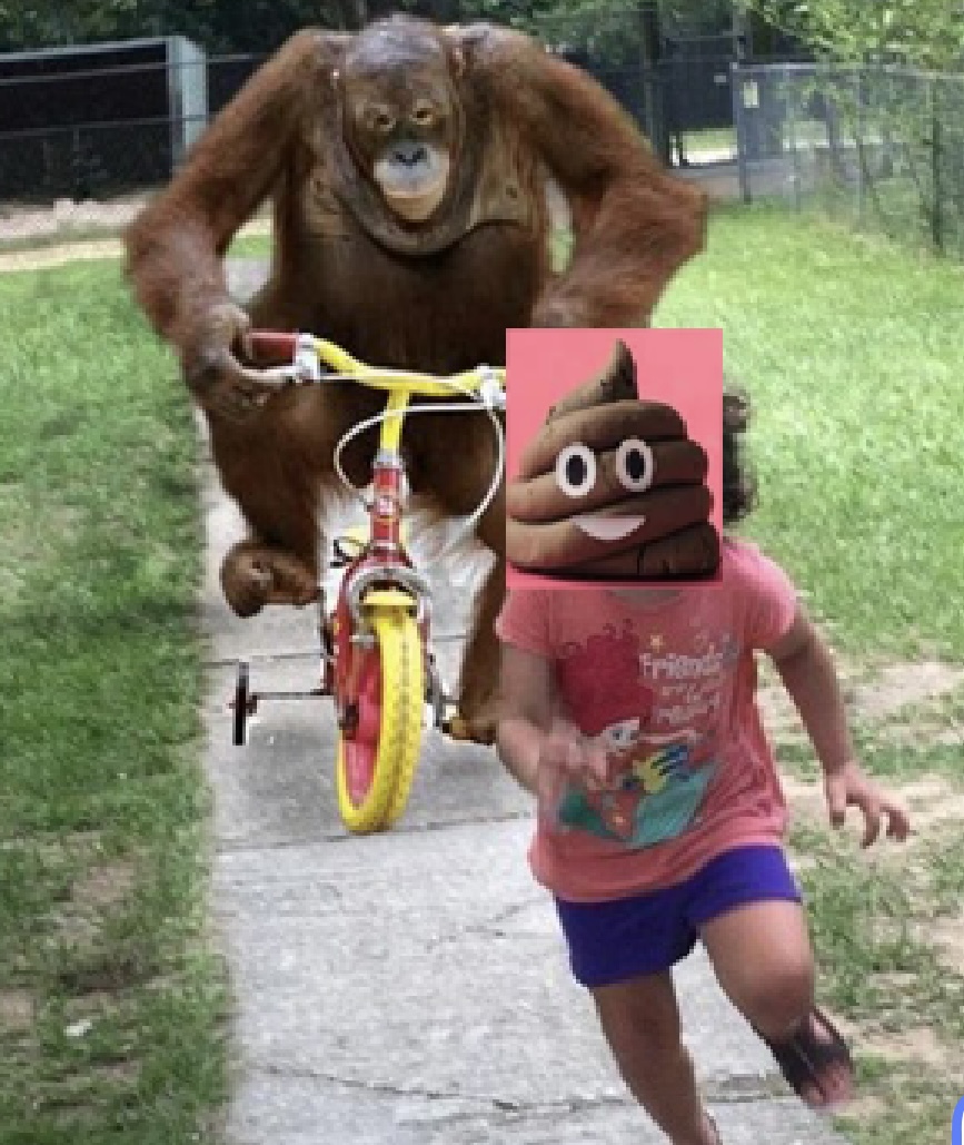 IMG 3499