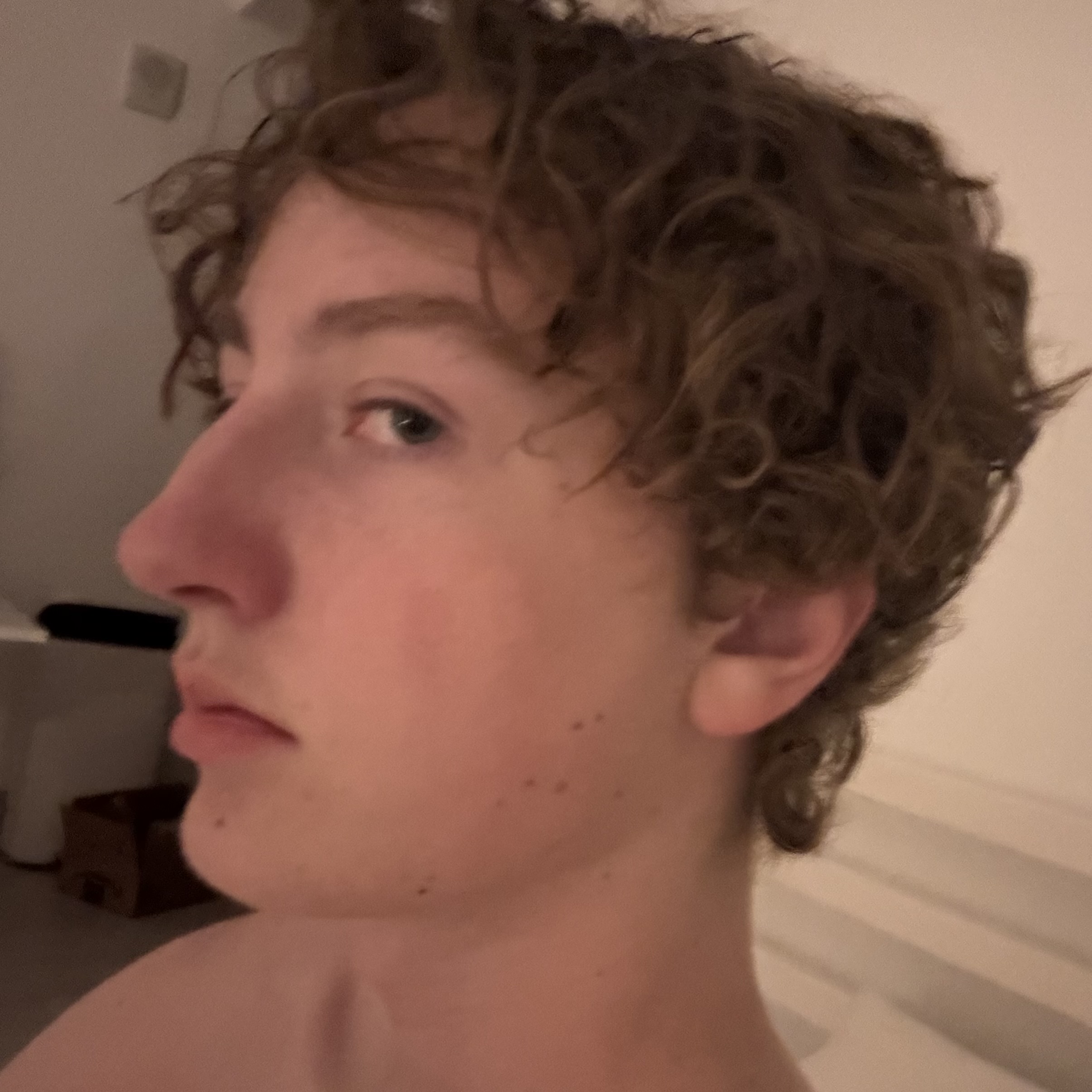 IMG 4678