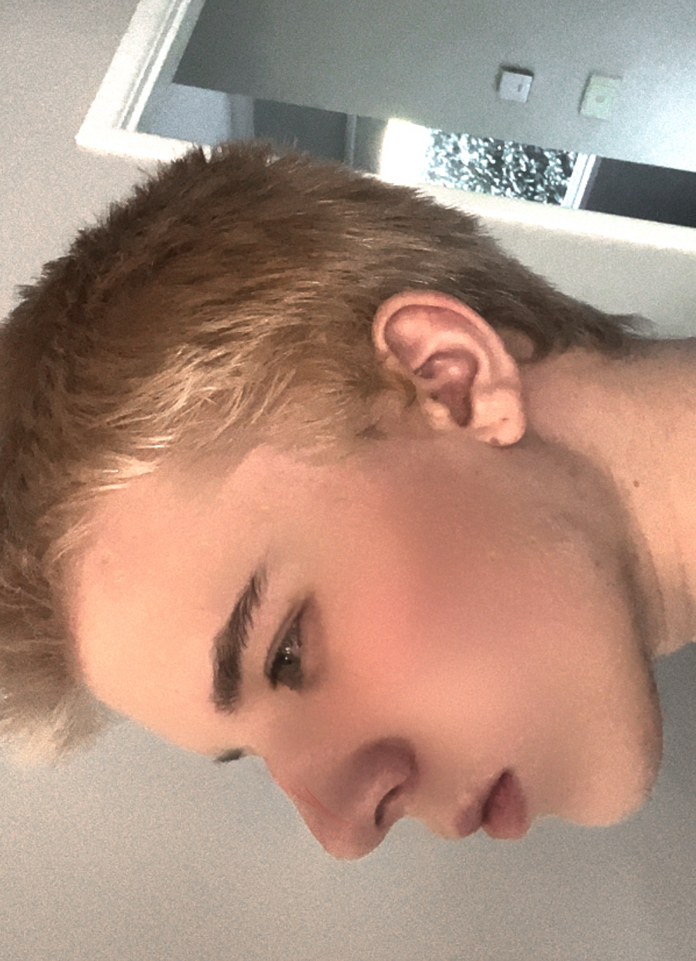 IMG 0257