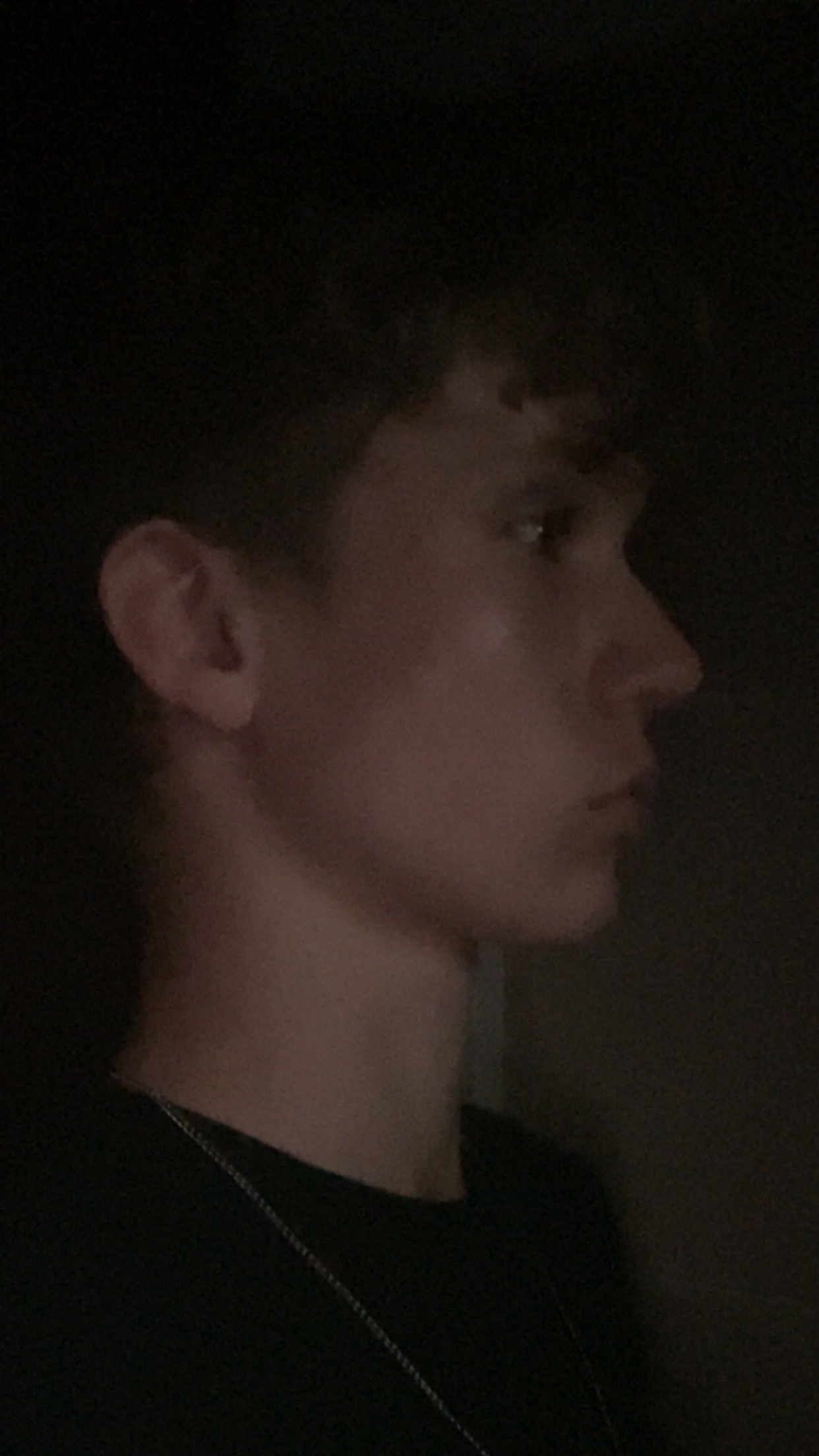 IMG 3278