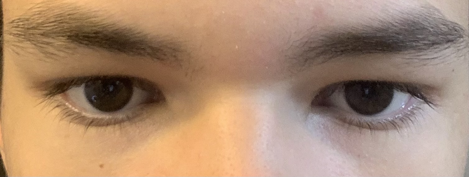 IMG 0054