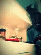 Nigga opening fridge
