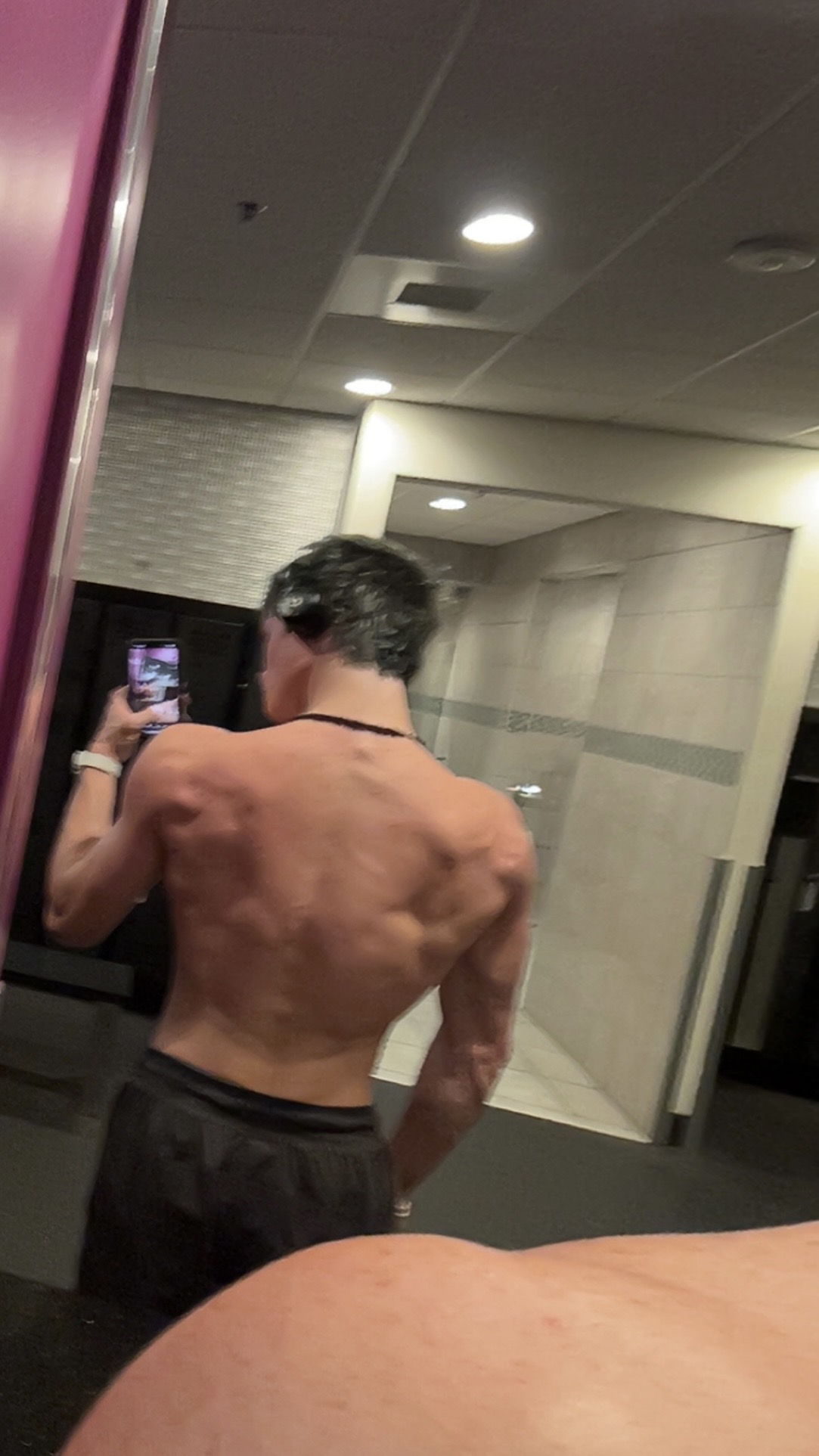 IMG 1260