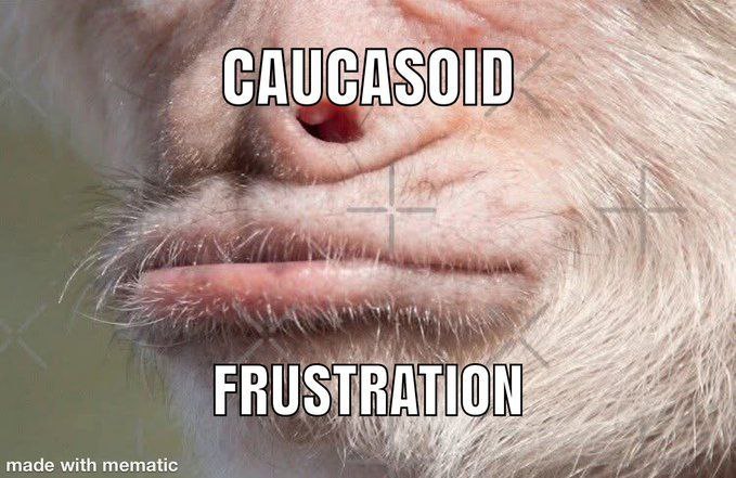 Photo 2025 05 10 16 10 17