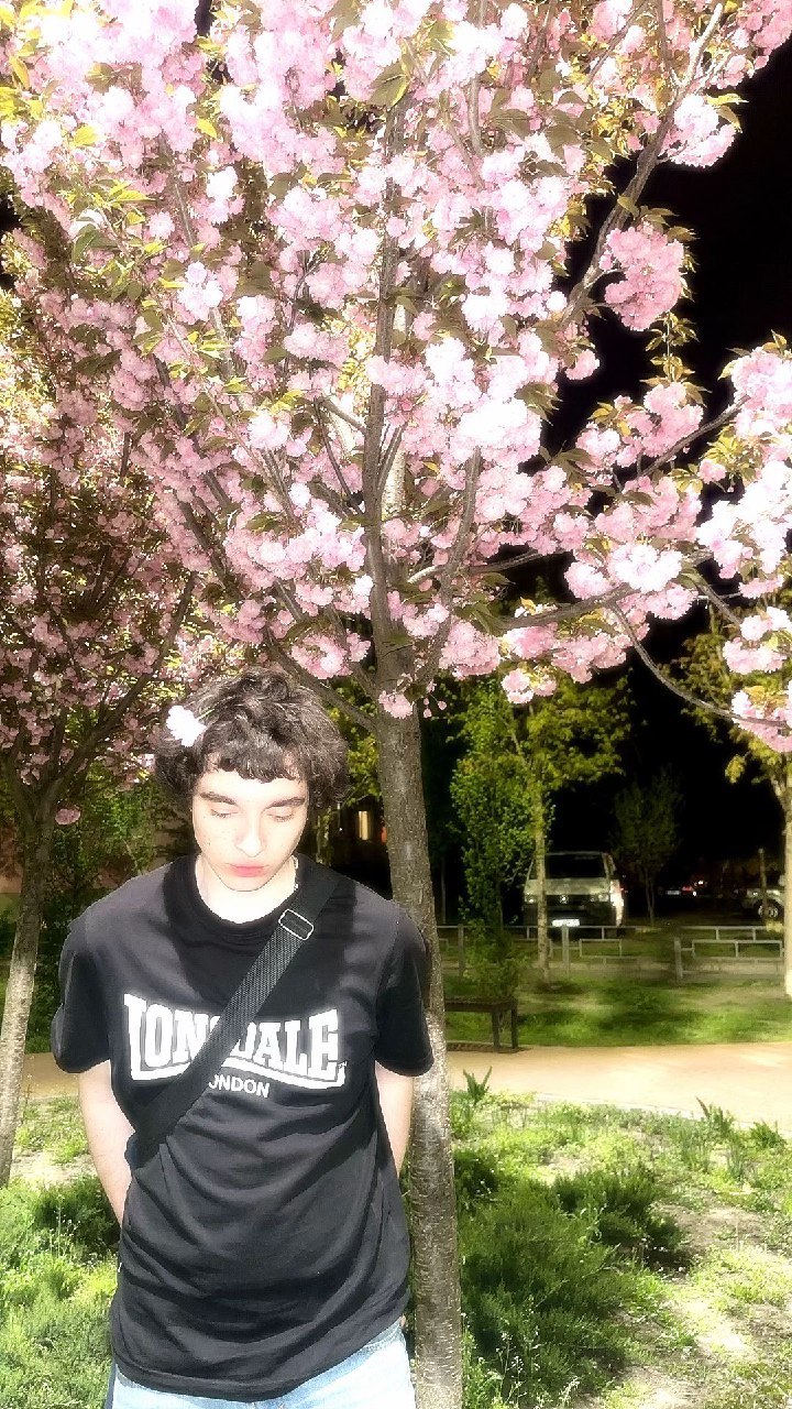 Photo 2025 04 21 22 02 34 5