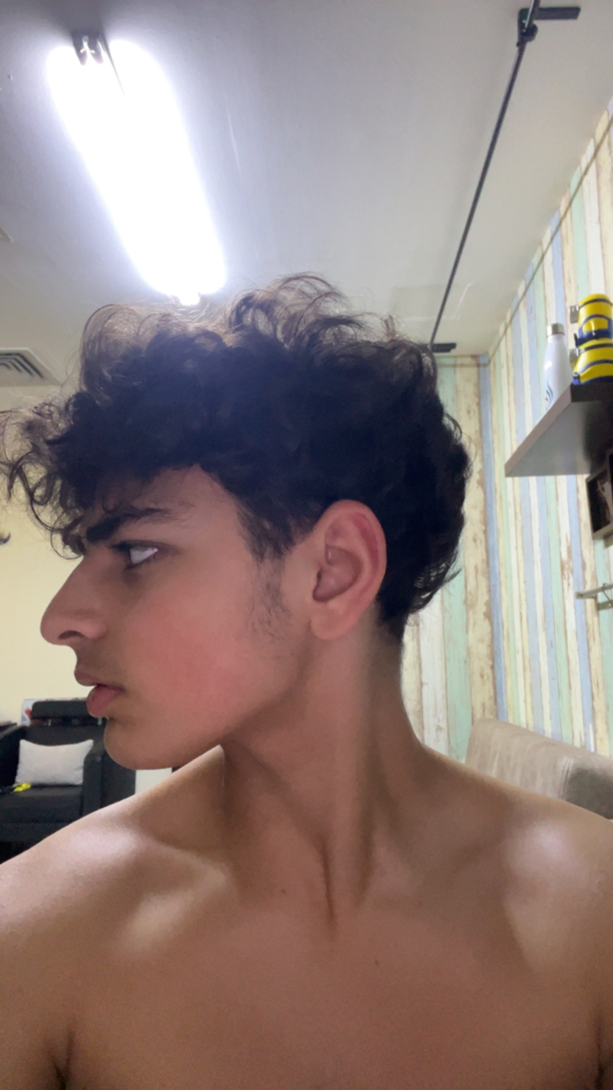 IMG 0517